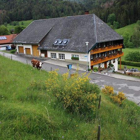 Ferienwohnung Talblick Todtmoos Exteriör bild
