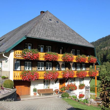 Ferienwohnung Talblick Todtmoos Exteriör bild