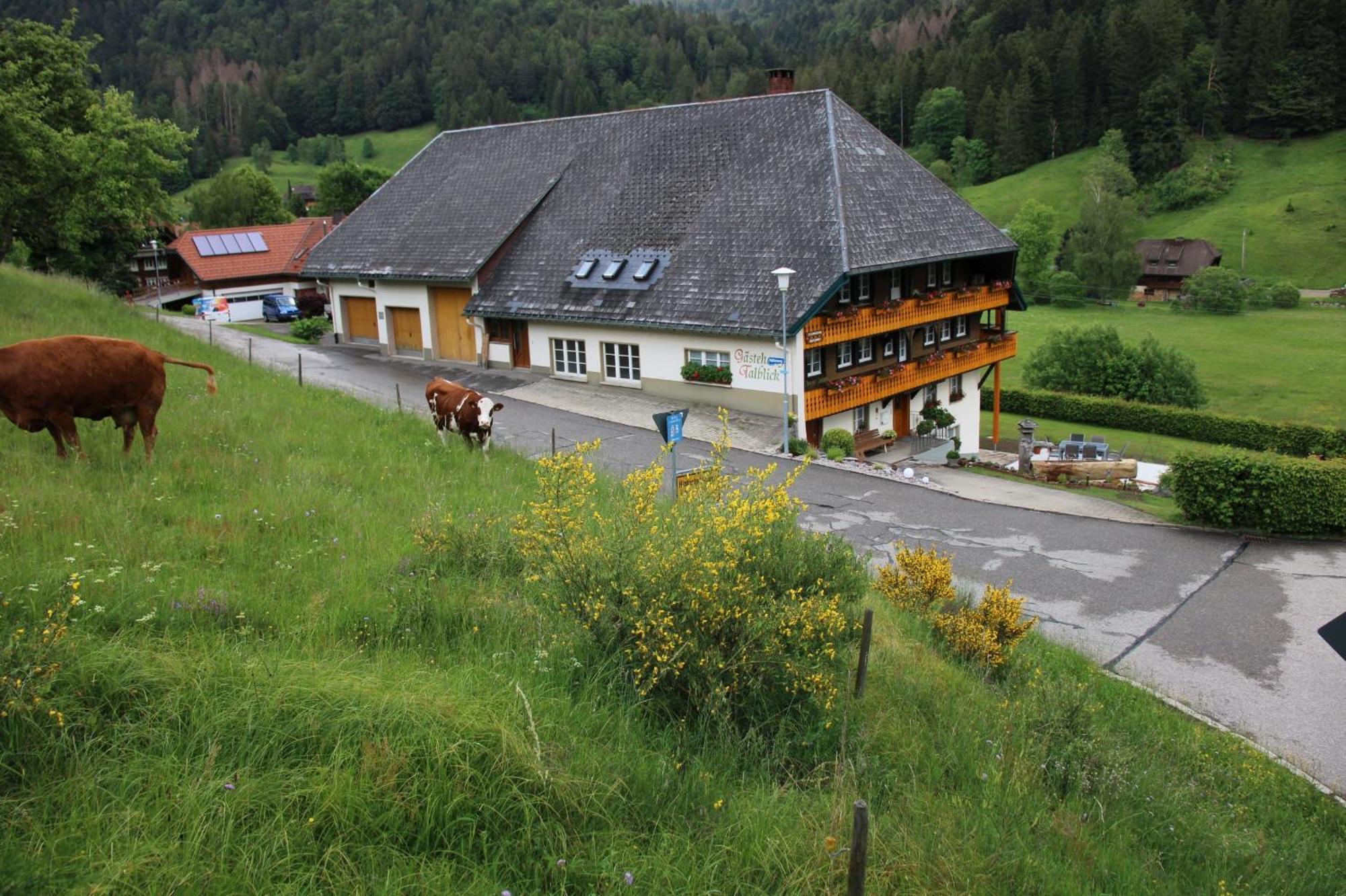 Ferienwohnung Talblick Todtmoos Exteriör bild
