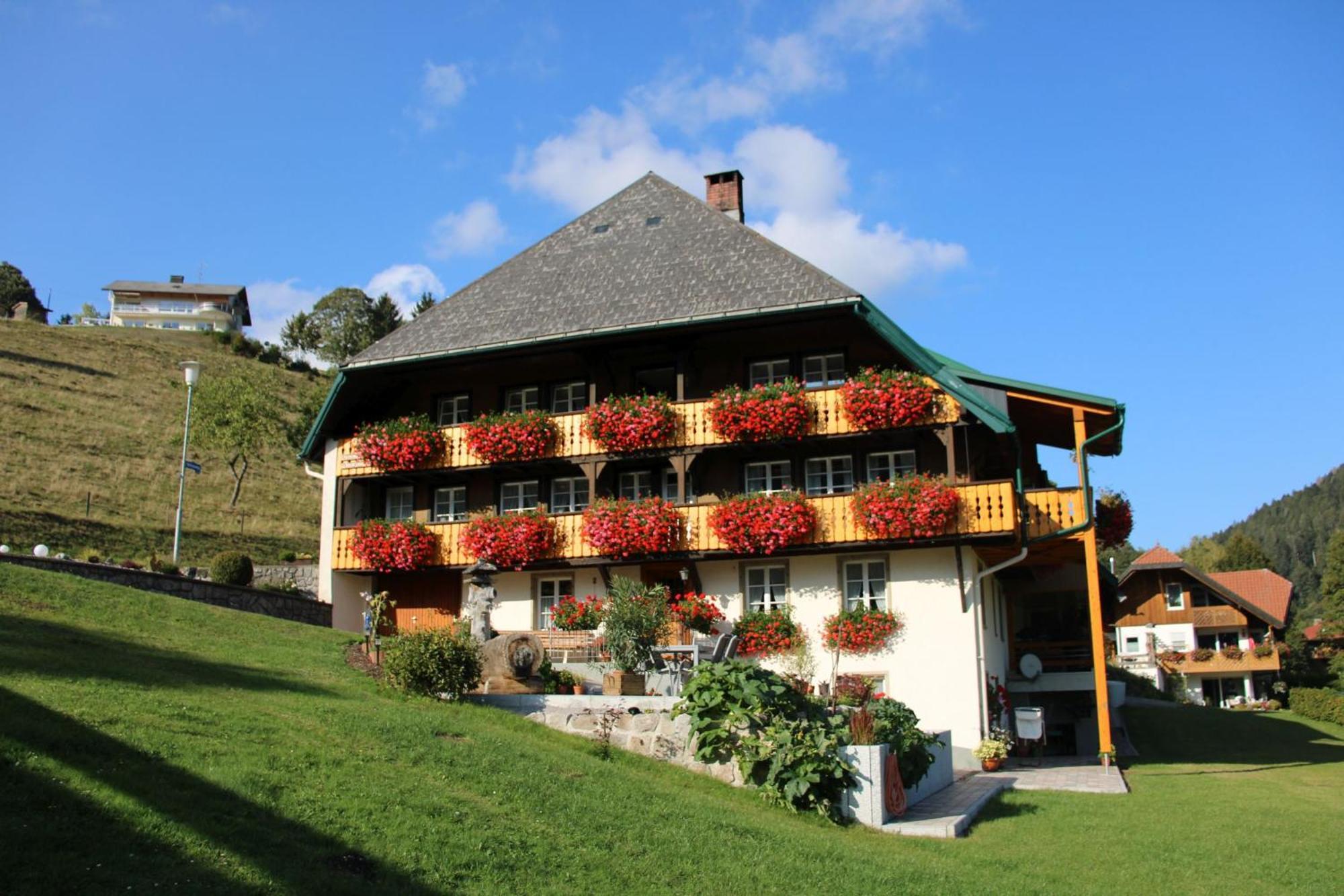 Ferienwohnung Talblick Todtmoos Exteriör bild